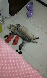 开心一刻一招制敌,开心一刻幽默语句