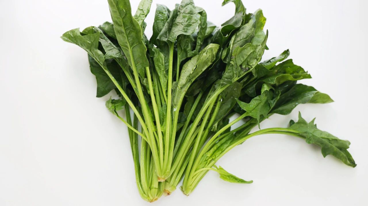 胃总反酸烧心吃什么药,经常胃反酸烧心吃什么药最有效果