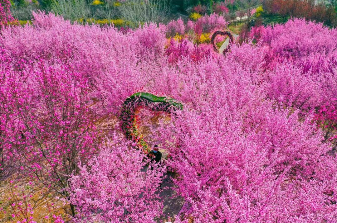 五一游淄博博山|这份出游地图快收好→