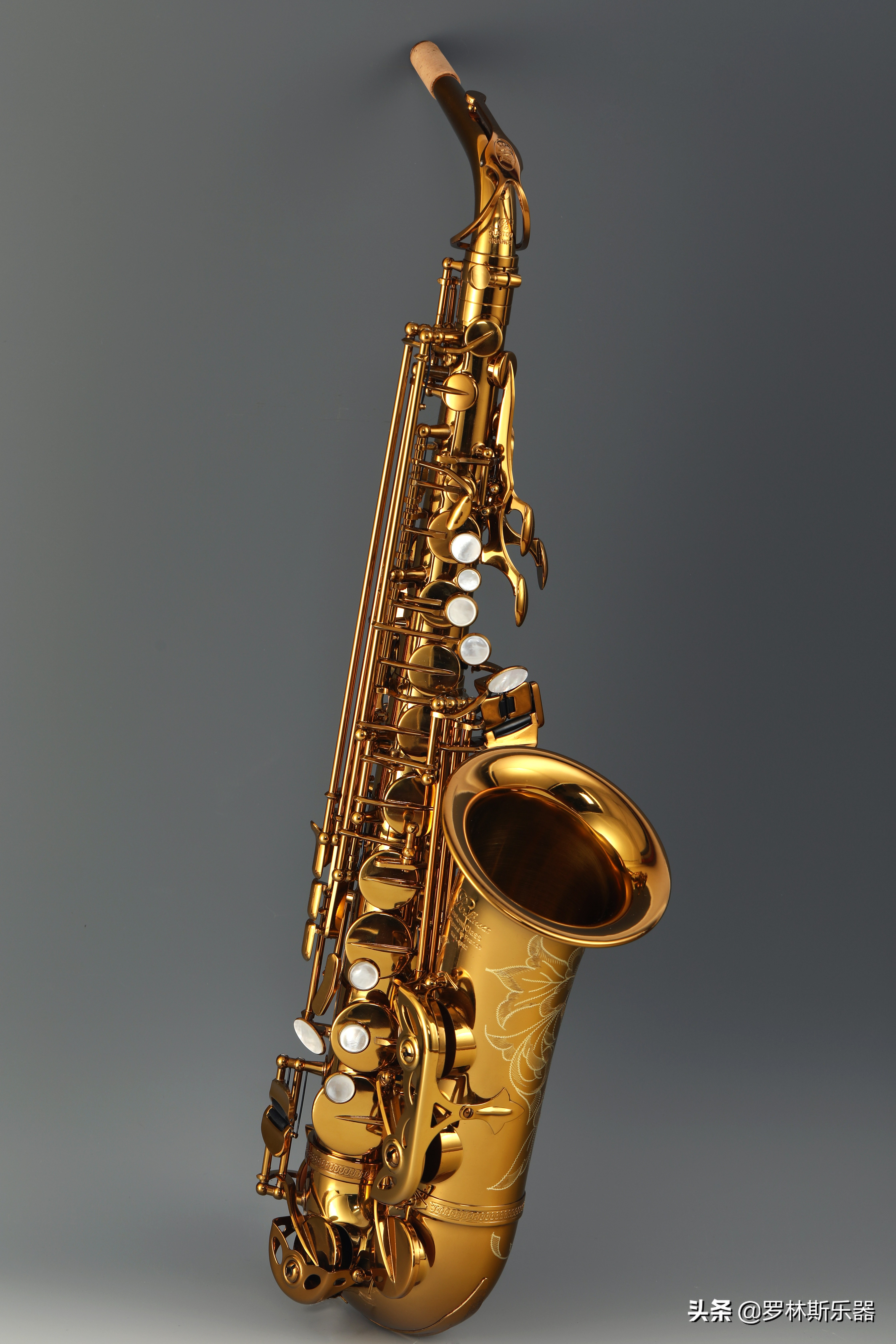 萨克斯好学吗初学者买什么样的,初学萨克斯先学哪里