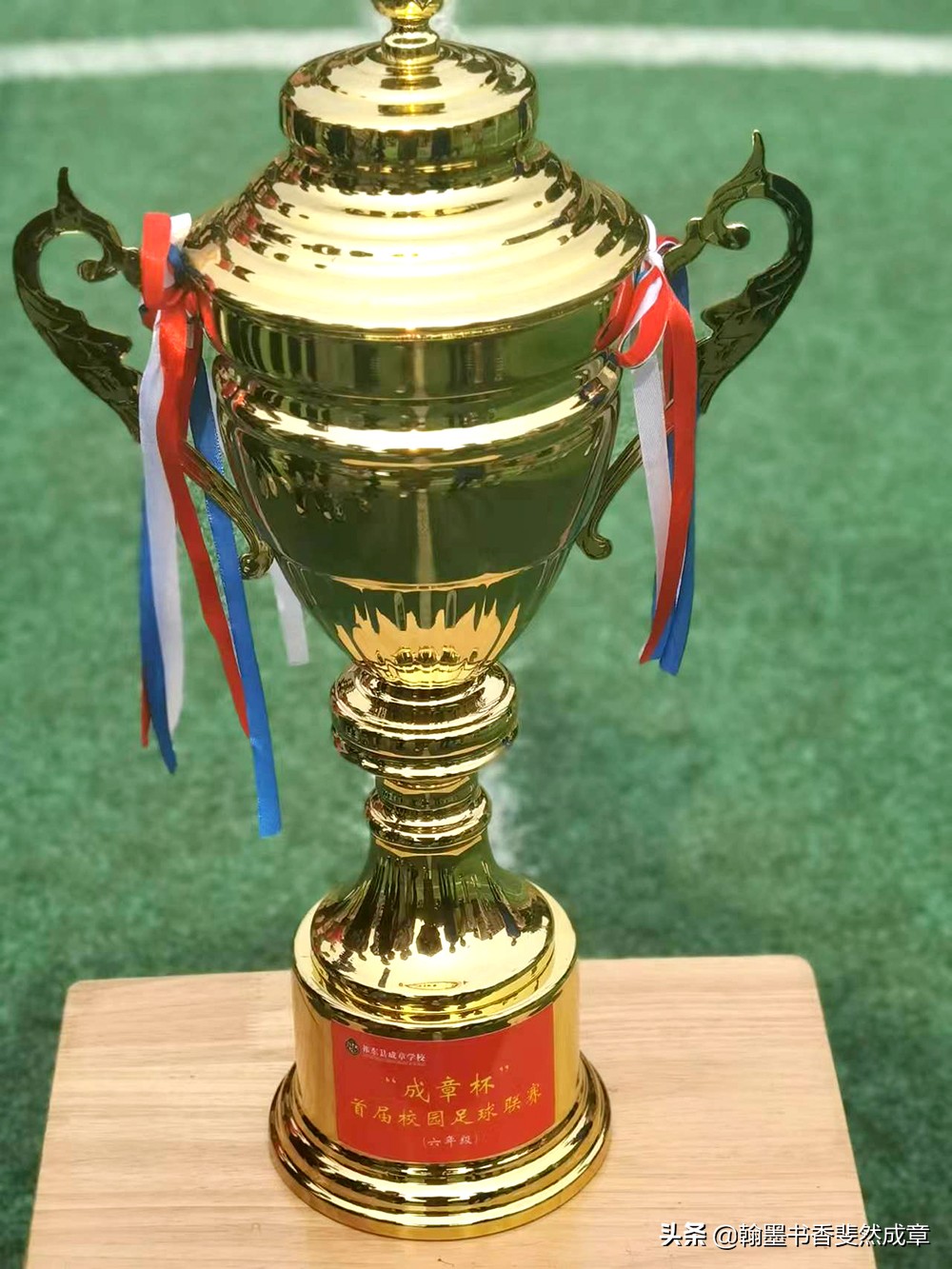 祁门县小学生第八届校园足球联赛,祁东成章小学足球联赛