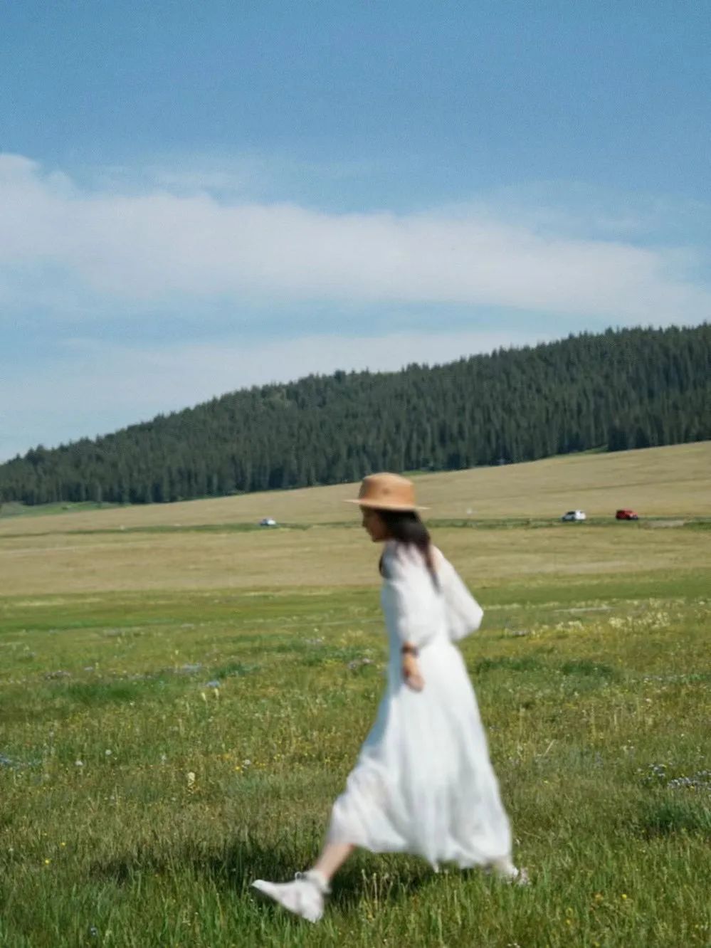 夏天凉快风景好又有水的旅游景点,夏天旅游景点哪里最好玩