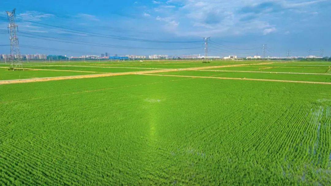 南京农业产业园招商,南京2023年招商引资项目排名