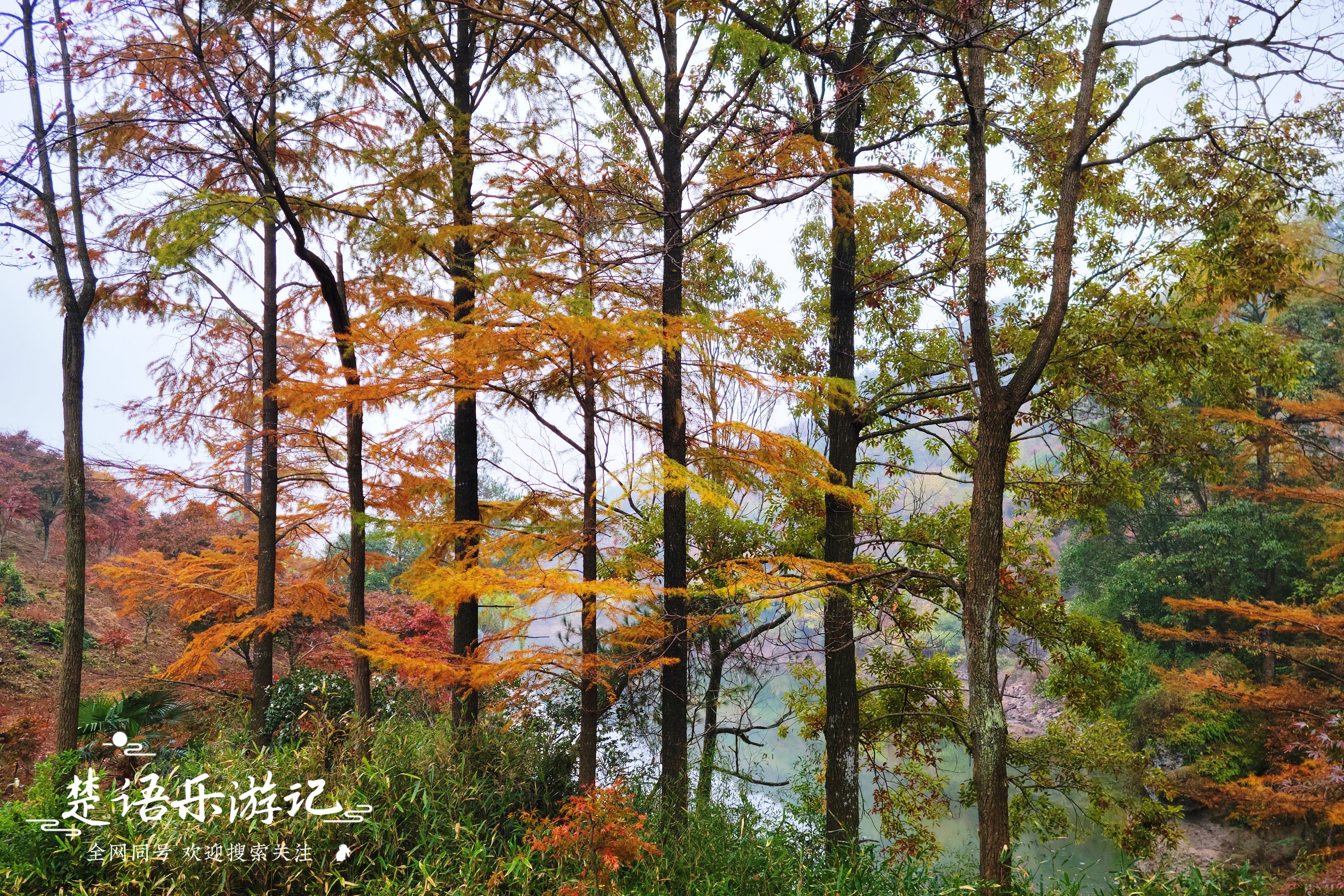 浙江宁波发现一处避世桃源，名字充满传说，景色如画堪称游玩佳地