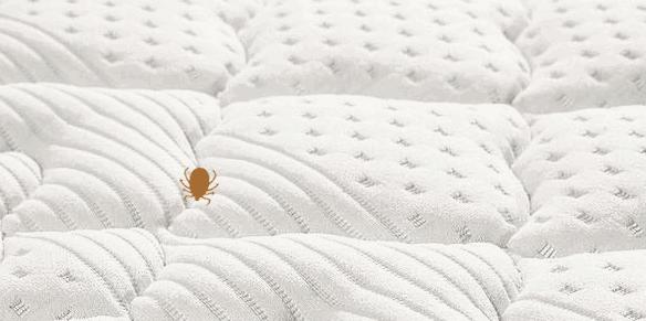 羽绒被太阳晒能杀菌吗,羽绒被洗后晒干有黄渍