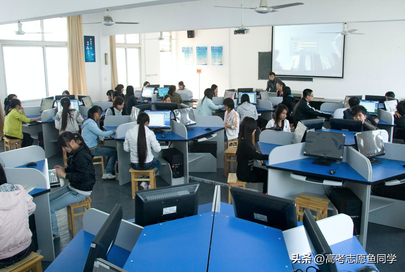 外向的女生适合学什么专业,性格外向的女生适合学什么专业