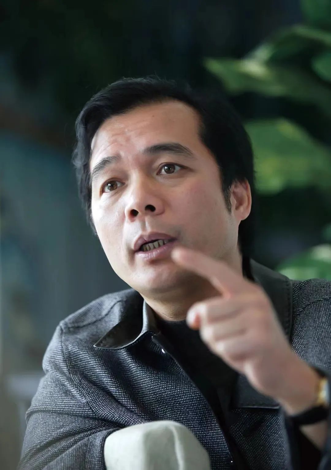 朱兴泽丨叠芳居（散文）