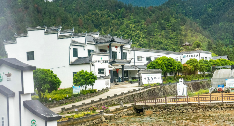 建德梅城古镇美食攻略,建德旅游美食