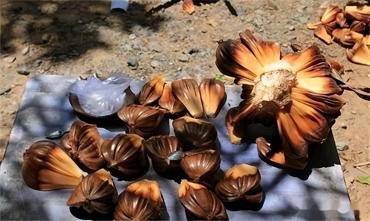 越南人来中国喜欢的水果,为什么越南人吃东西这么奇怪