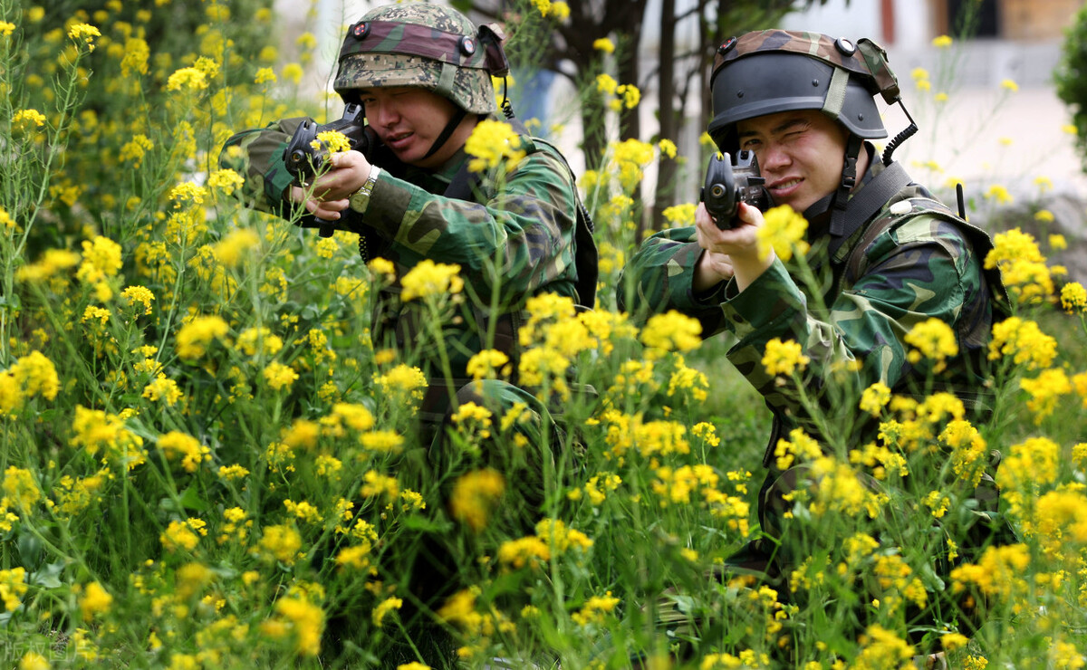 苏州旅游攻略二天一夜不逛园林,苏州一日游有什么推荐的