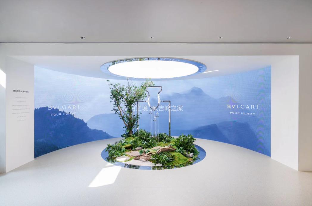 宝格丽大吉岭茶香水香调,宝格丽大吉岭茶香水持香时间