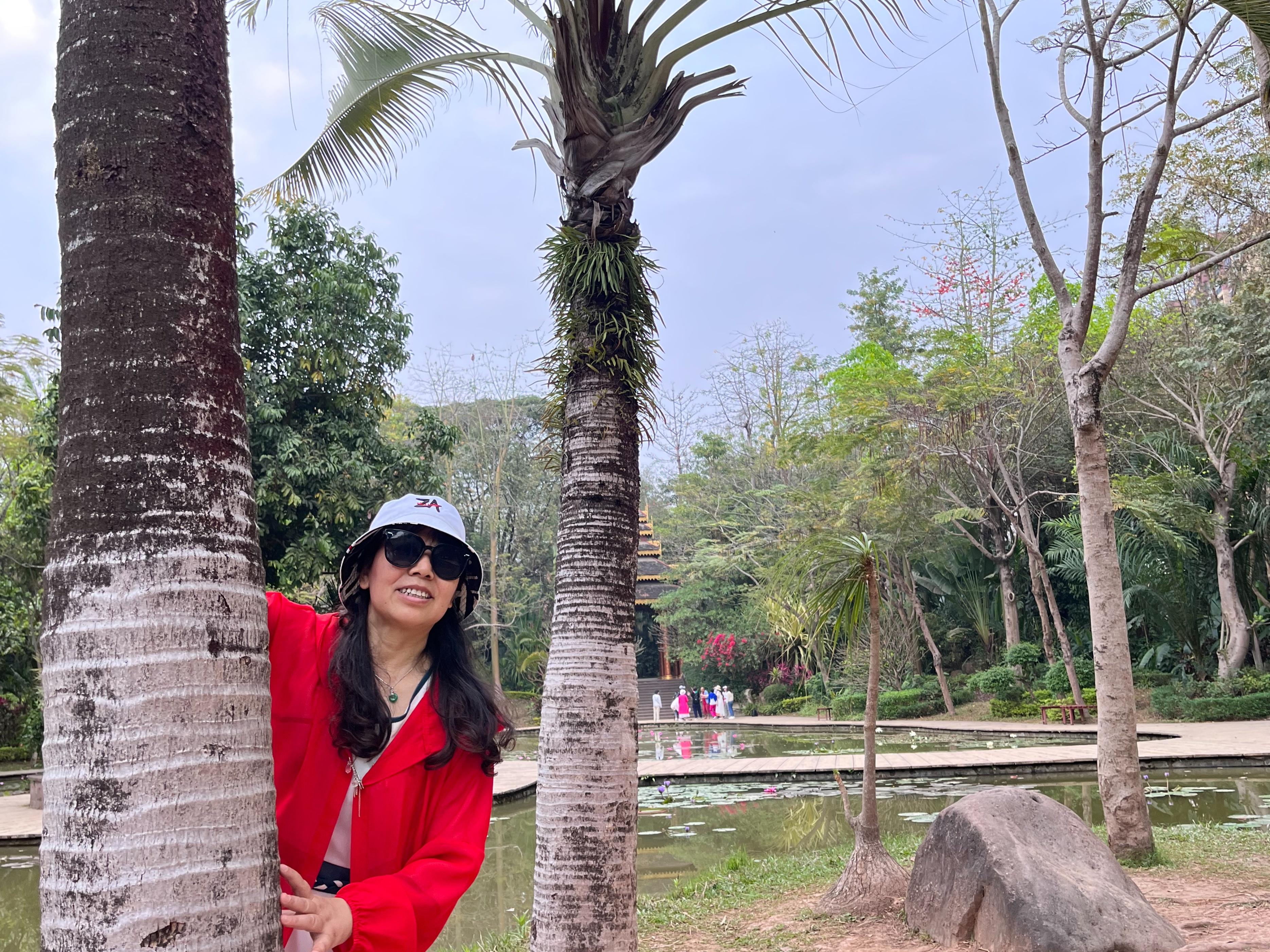 西双版纳曼听园攻略,云南西双版纳打卡曼听公园