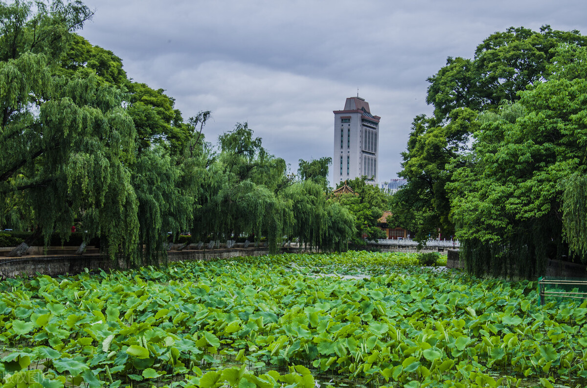 去云南昆明旅游攻略必去景点,云南的昆明旅游攻略必去景点顺序