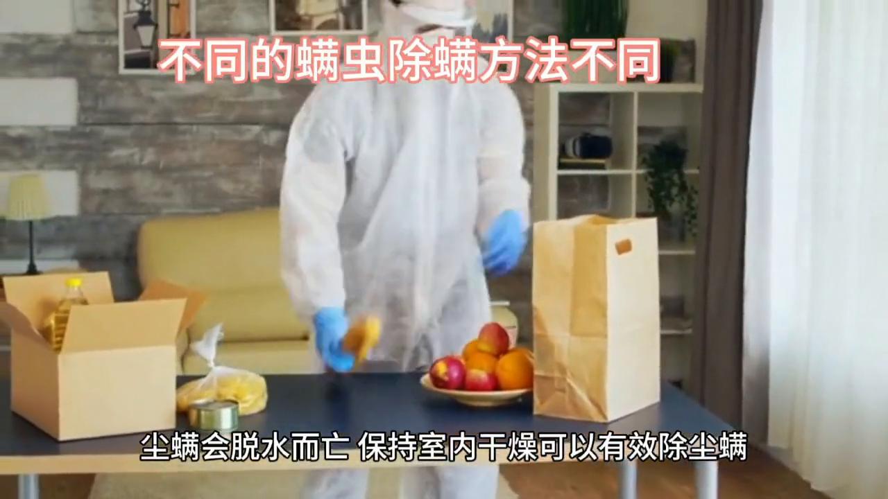 专业杀螨虫最好的除螨剂,螨虫消灭方法除螨仪