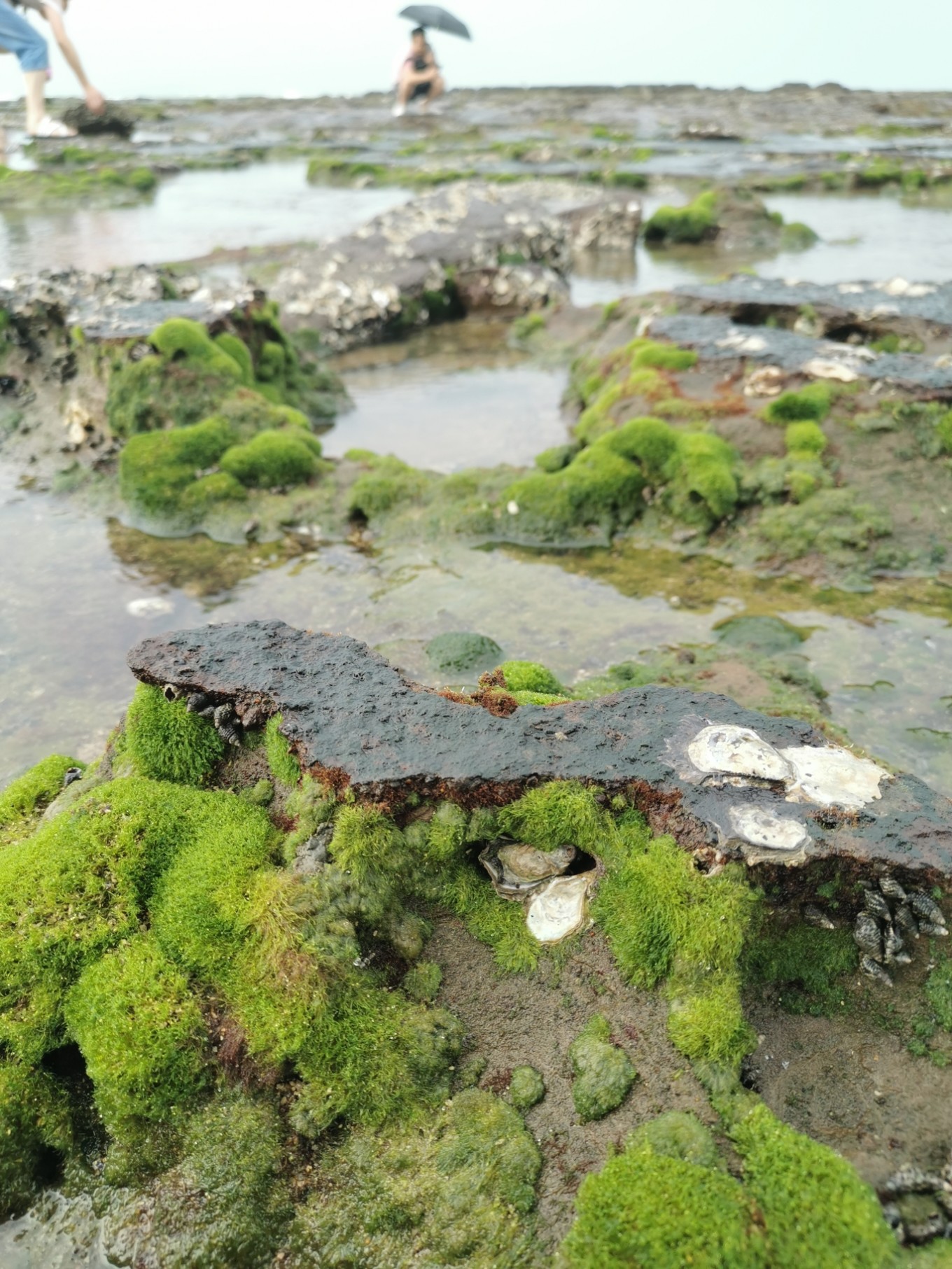 北海是一座令人向往的城市吗,北海是浪漫的城市