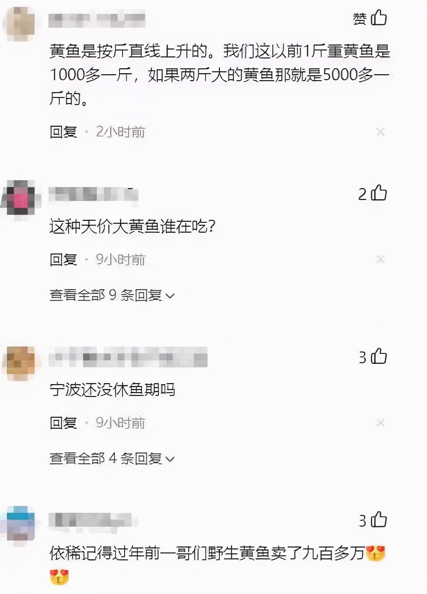 渔民捕获价值3万的野生大黄鱼,石浦渔民一网4000多斤野生大黄鱼