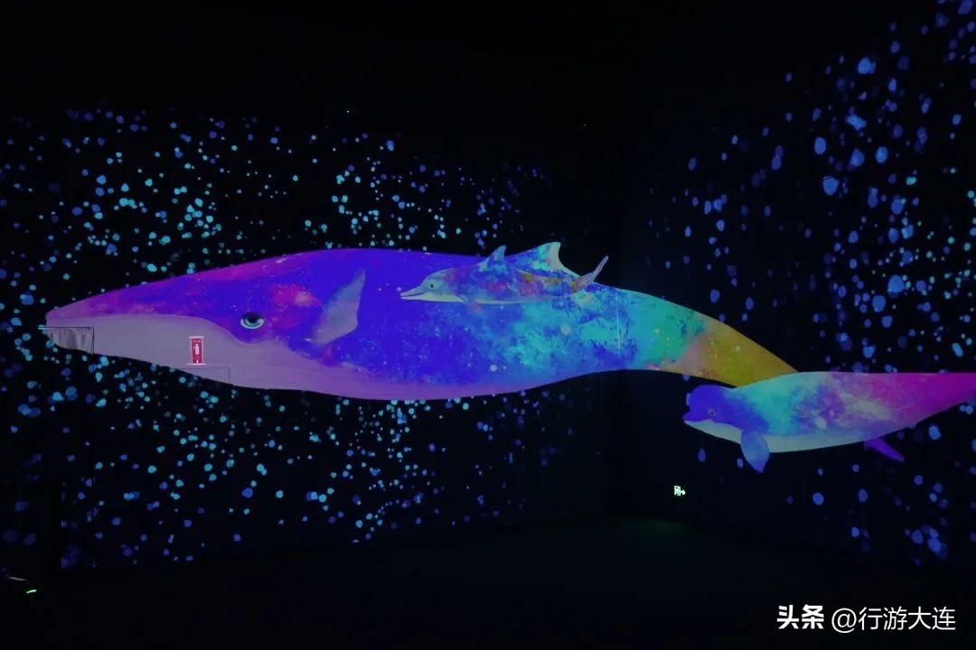 大连特色文创园,大连新开的文创园