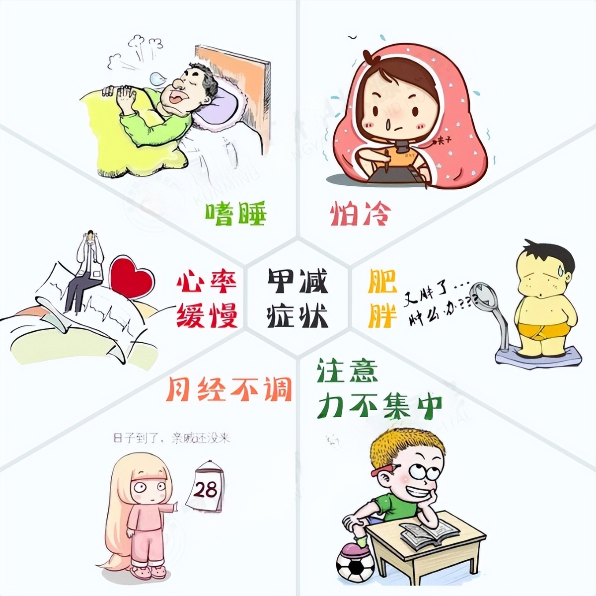 想要治好甲减，不能单单依靠西药，别忘了这个办法