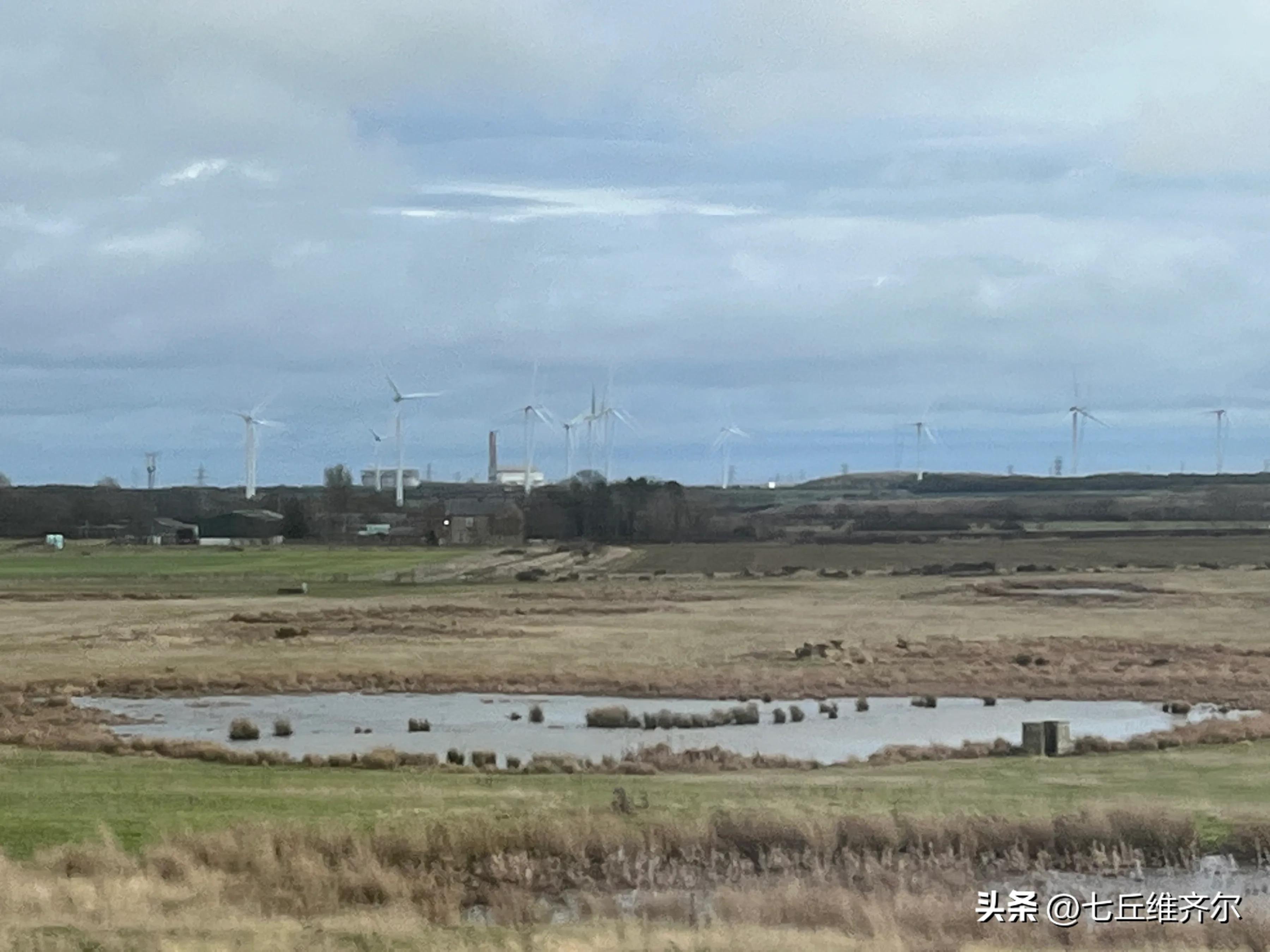 水肥草美牛羊壮上联,牛羊满圈的上联下联
