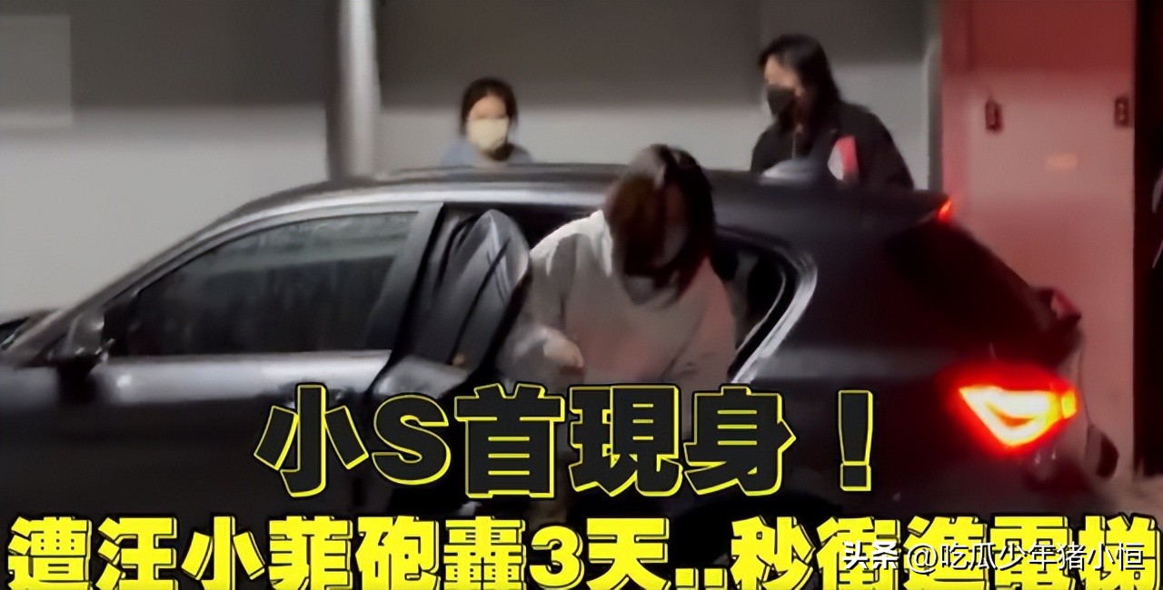 反转！小S越黑越红，受邀拍摄韩国宣传片，汪小菲旗下产品被点名