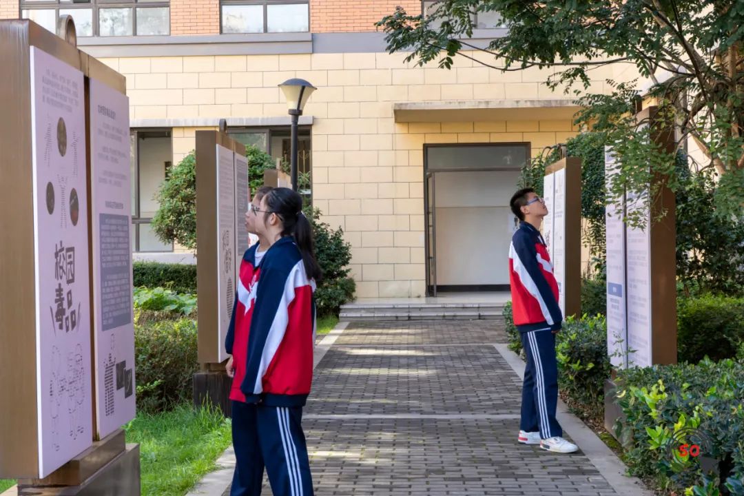 校园每个角落法治教育,校园法制一角