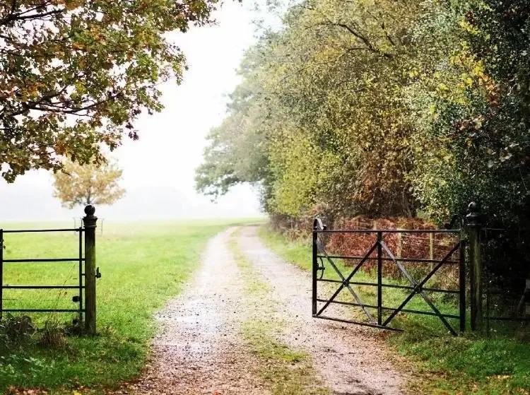 新晋赌王洗米华,香港小赌王洗米华