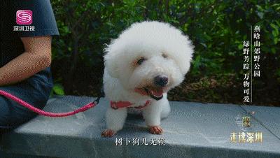 深圳哪里避暑最好玩,深圳避暑最佳旅游地