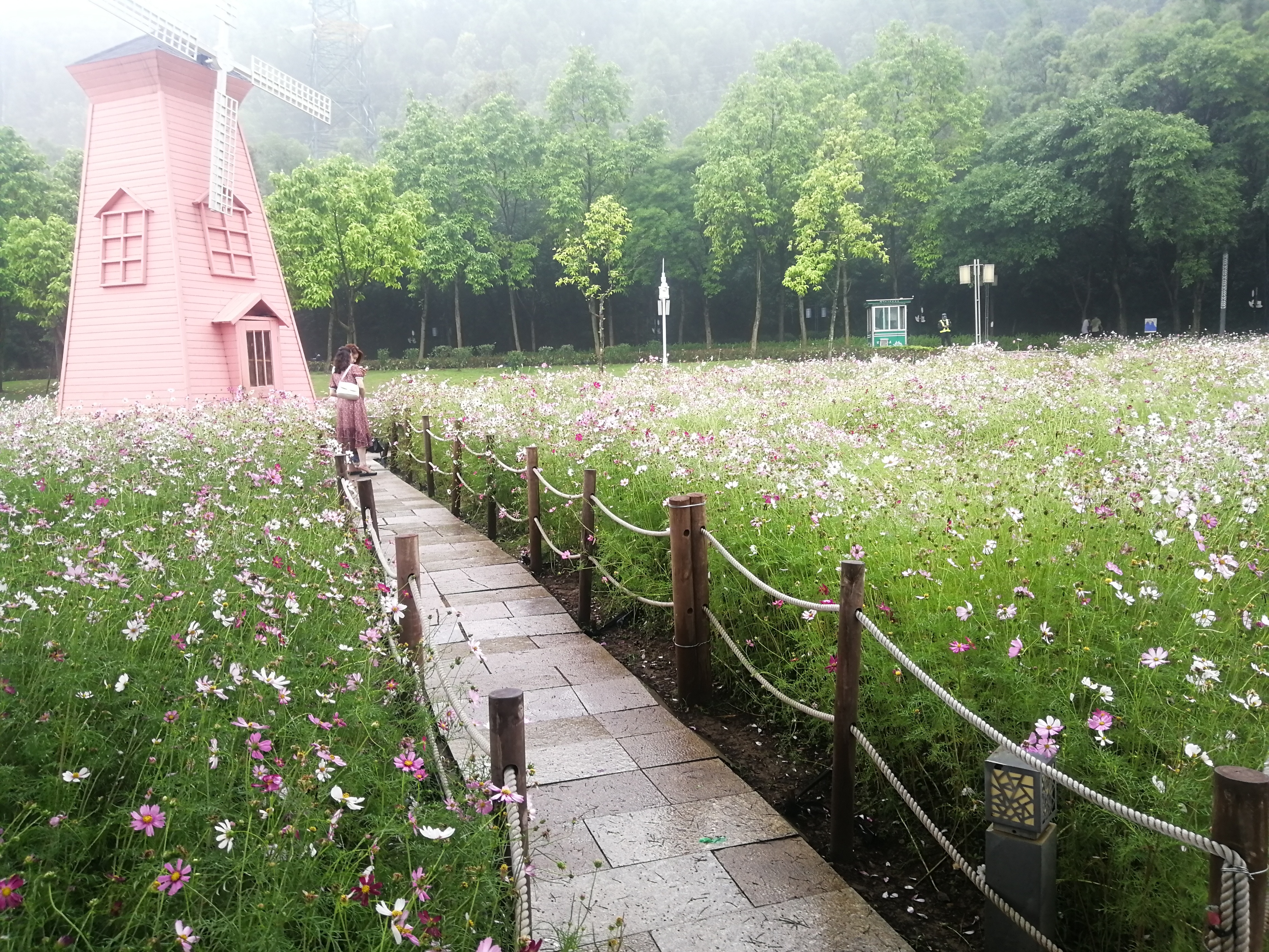 打卡广州地铁7号线,打卡广州最美7公里