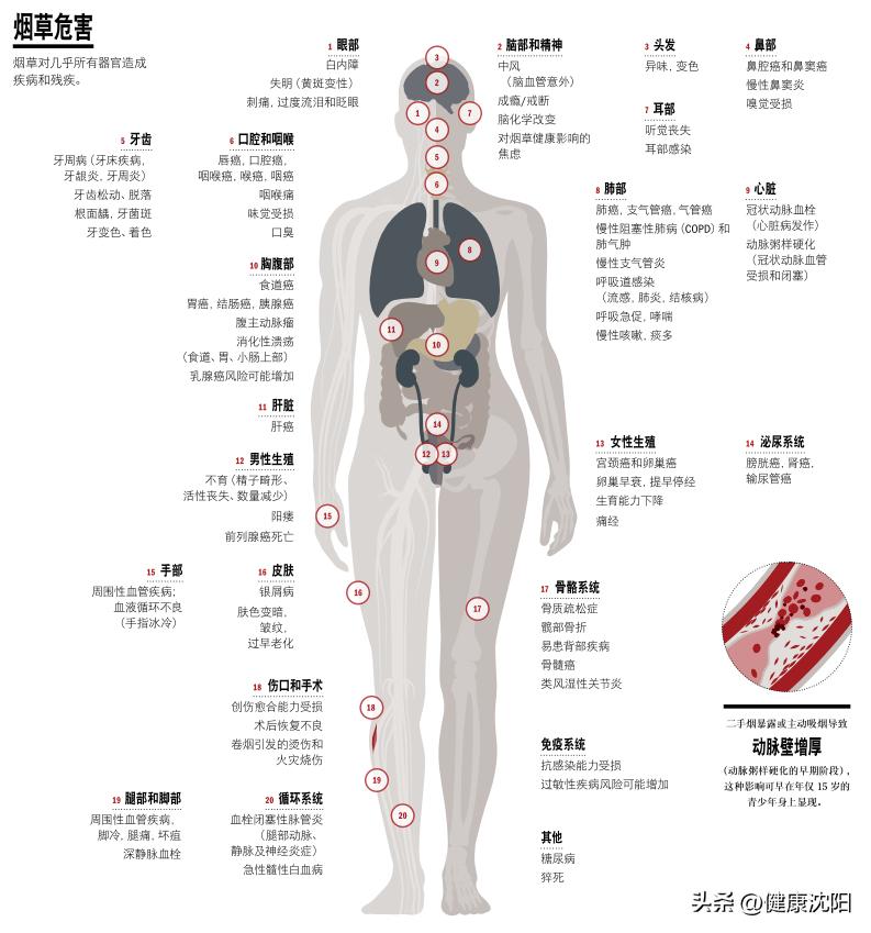 世界无烟日吸烟对身体的十大危害,世界无烟日烟的危害不容小视