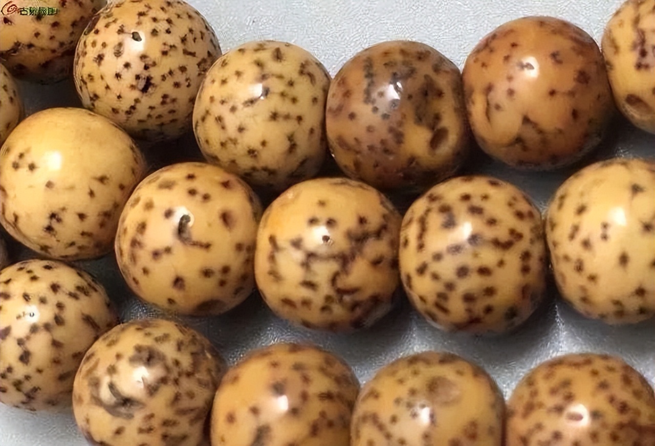 鸡油黄星月菩提盘到最后什么颜色,鸡油黄星月菩提盘出来的效果图