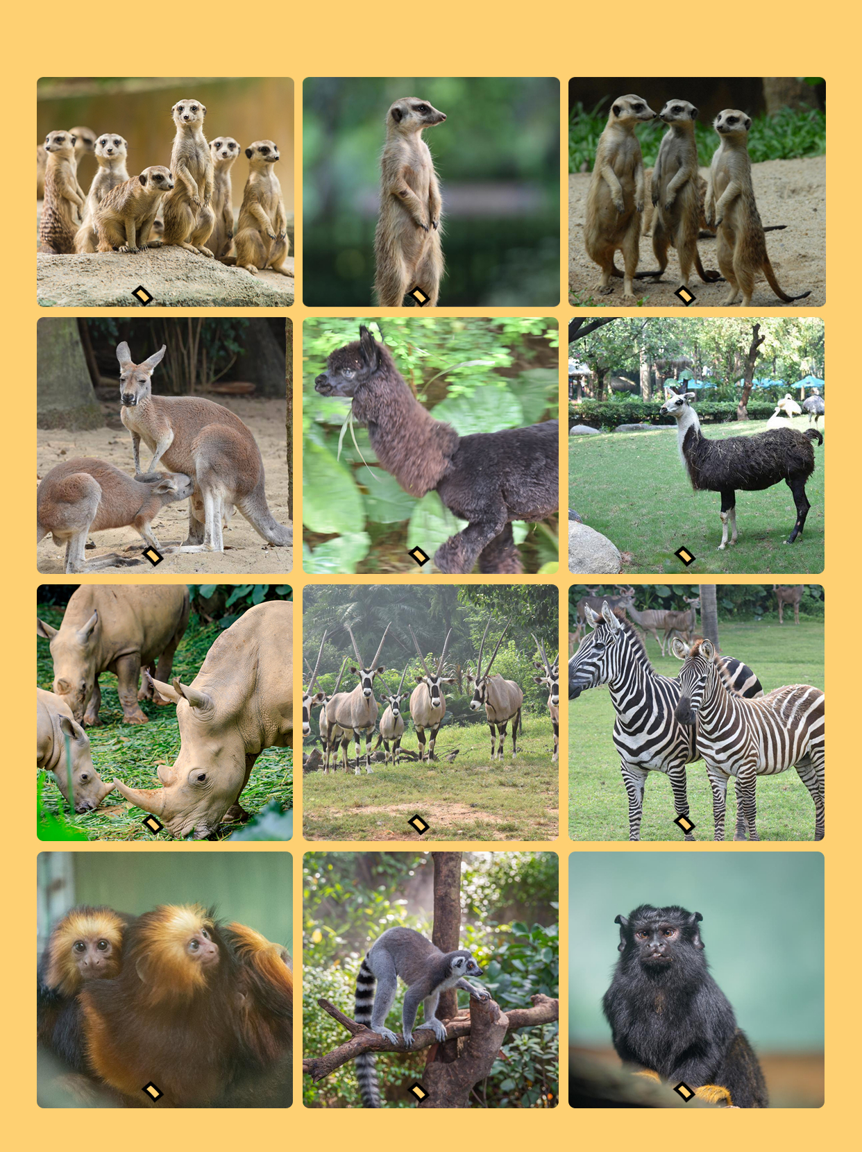 广州长隆野生动物园附近行李寄存,长隆野生动物园行李可以寄存的吗