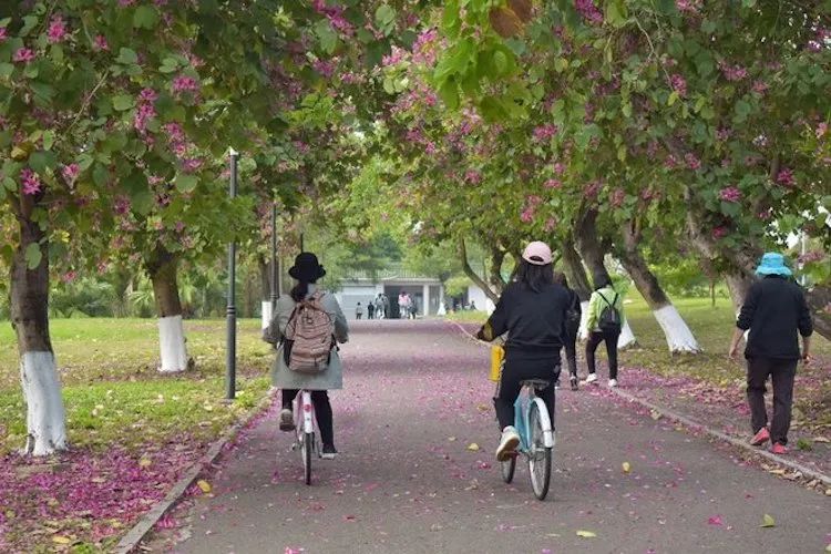 肇庆星湖岩前村,肇庆岩前村附近两日游攻略
