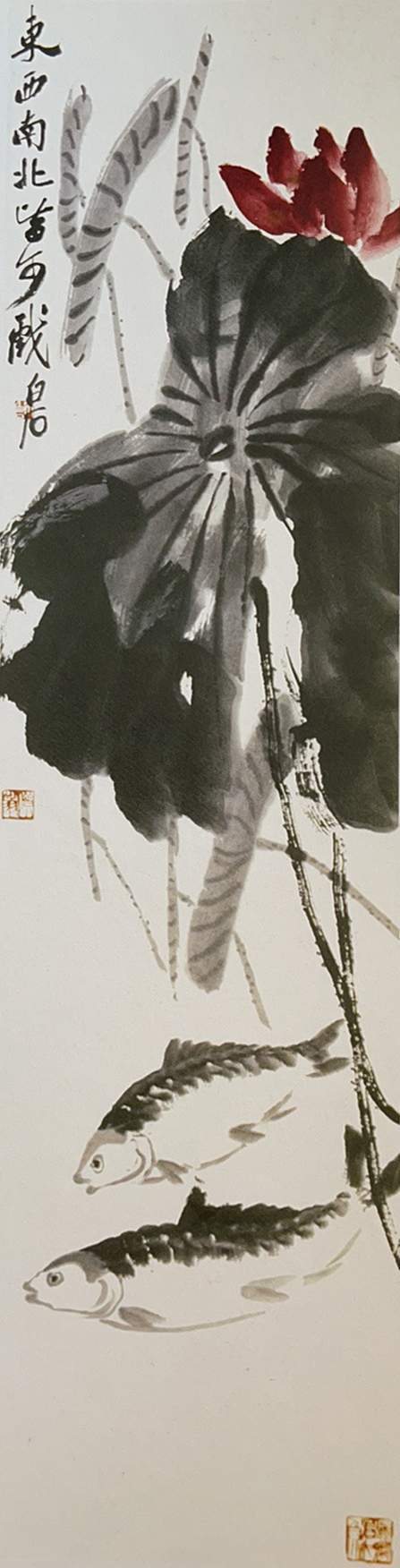 齐白石秋荷鉴赏,齐白石赏荷