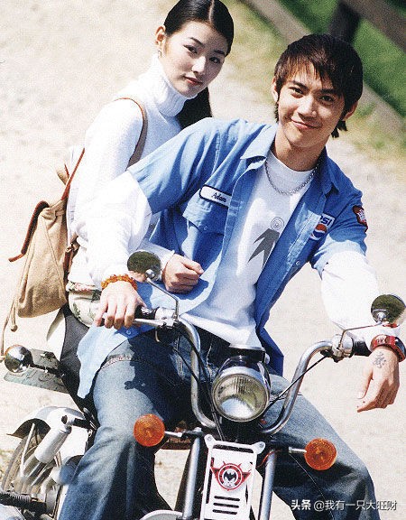 薰衣草从零开始,薰衣草诠释爱情