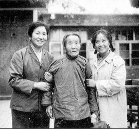 杨三姐告状真实故事梗概求回答,解密真实的杨三姐告状