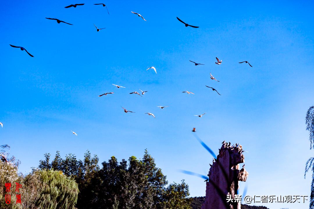 最后的摇曳——只为那绳命的回晃