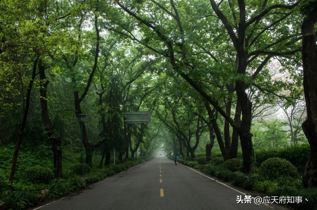 来南京不能错过的小众打卡地,南京江宁小众打卡点