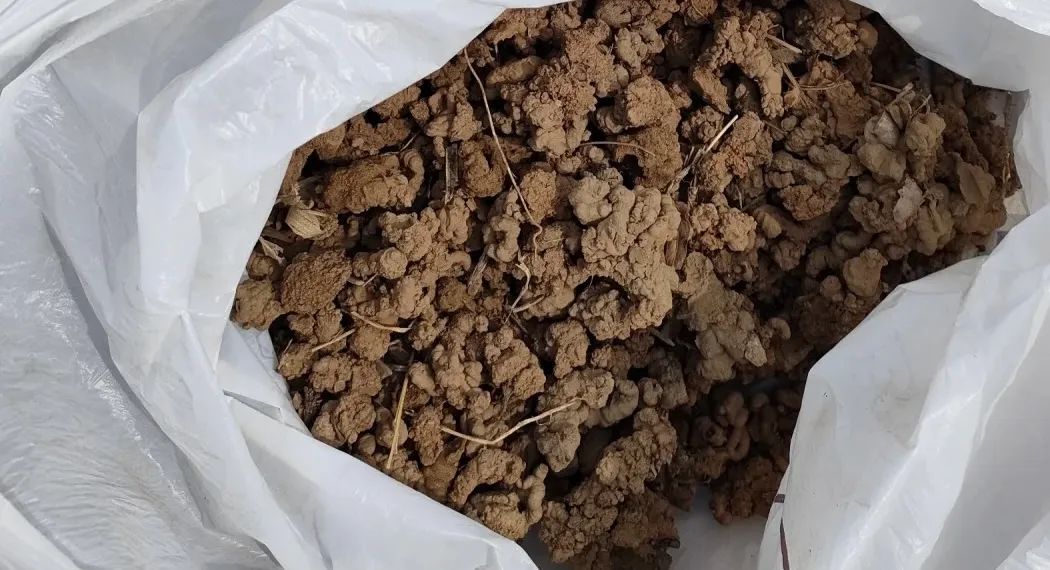 邻居扔垃圾屡教不改,邻居总是扔垃圾在花坛