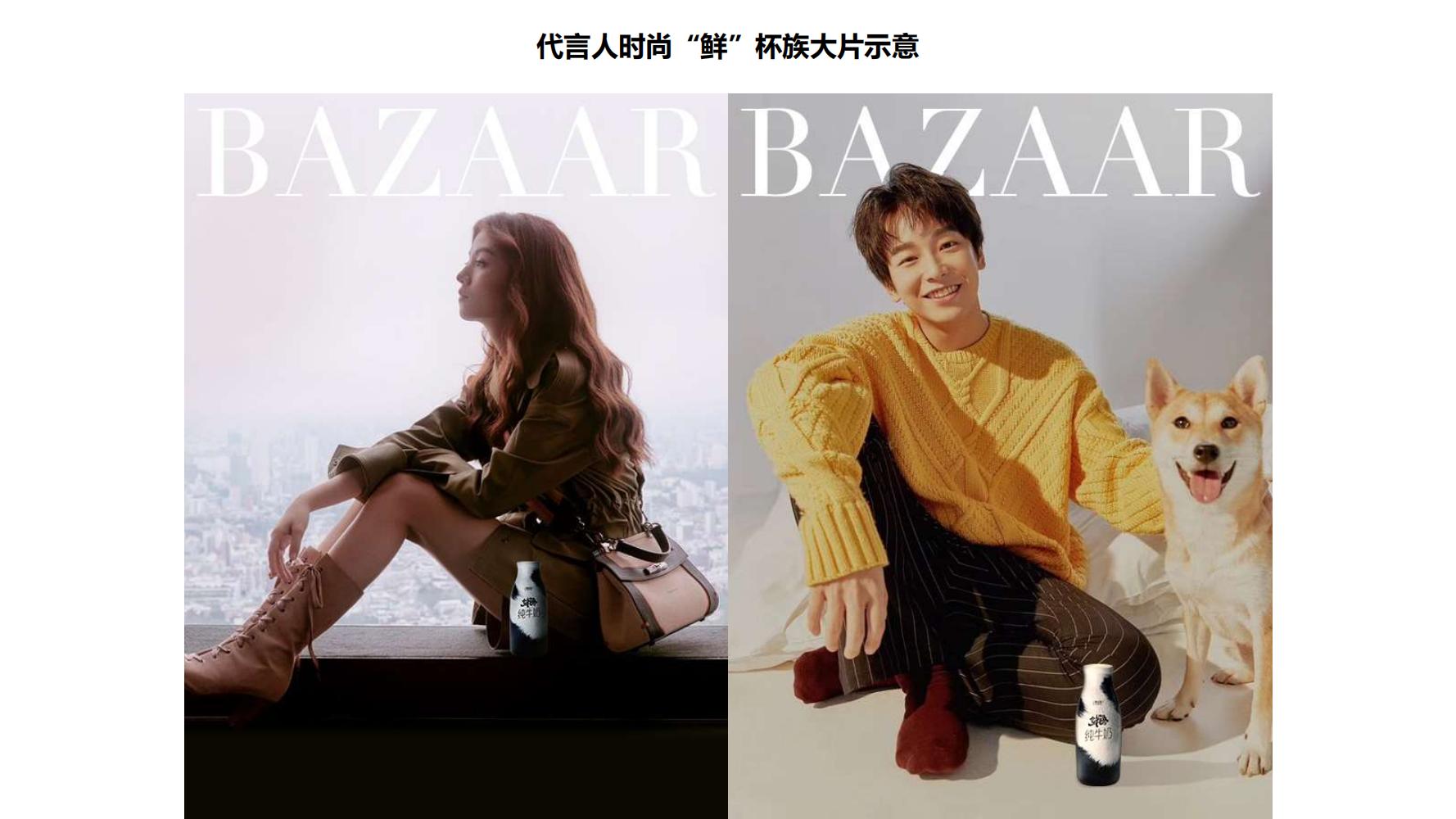 蒙牛特仑苏营销策划,蒙牛特仑苏广告词