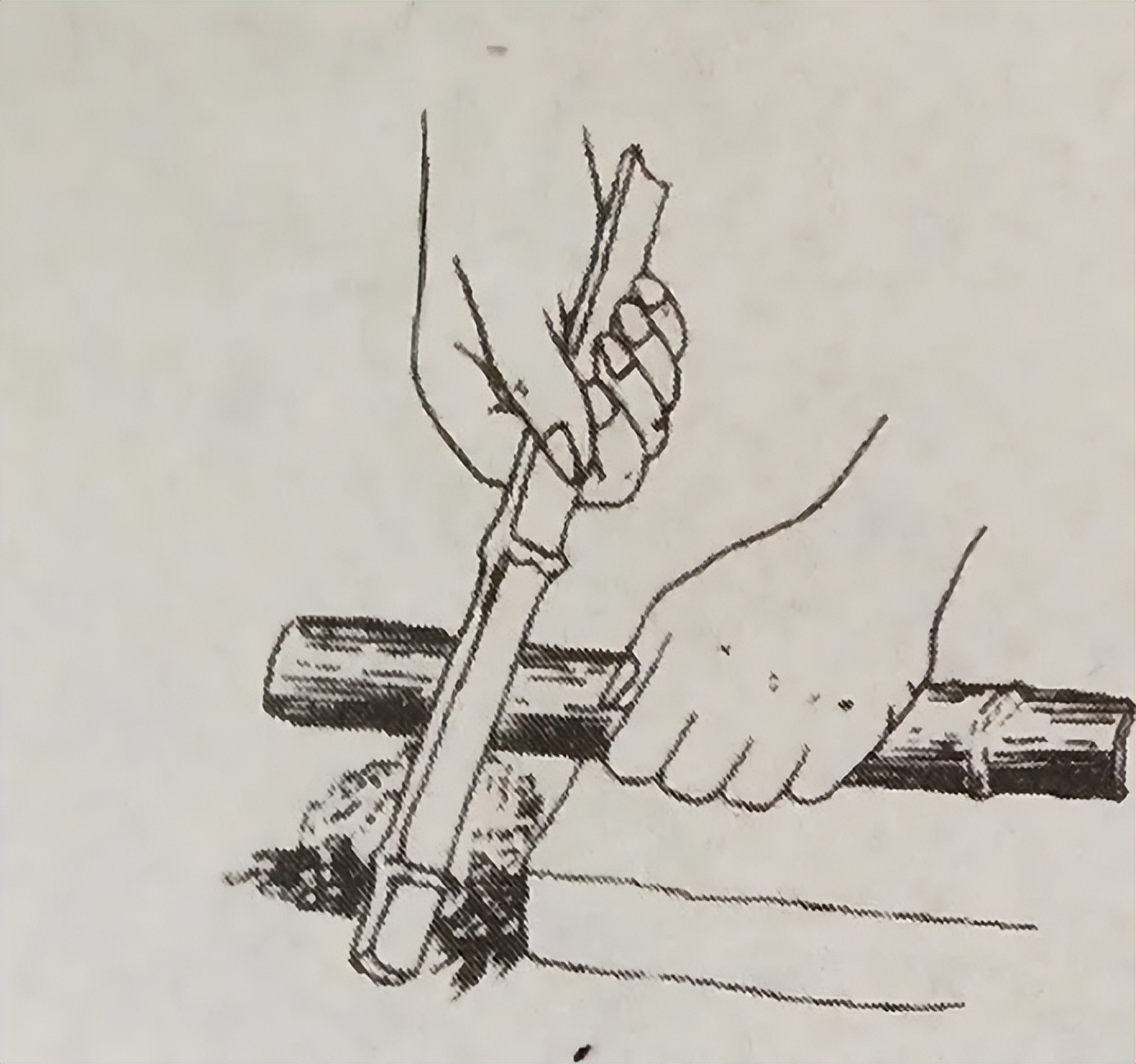 石器时代野人取火,锯竹取火钻木取火擦木取火