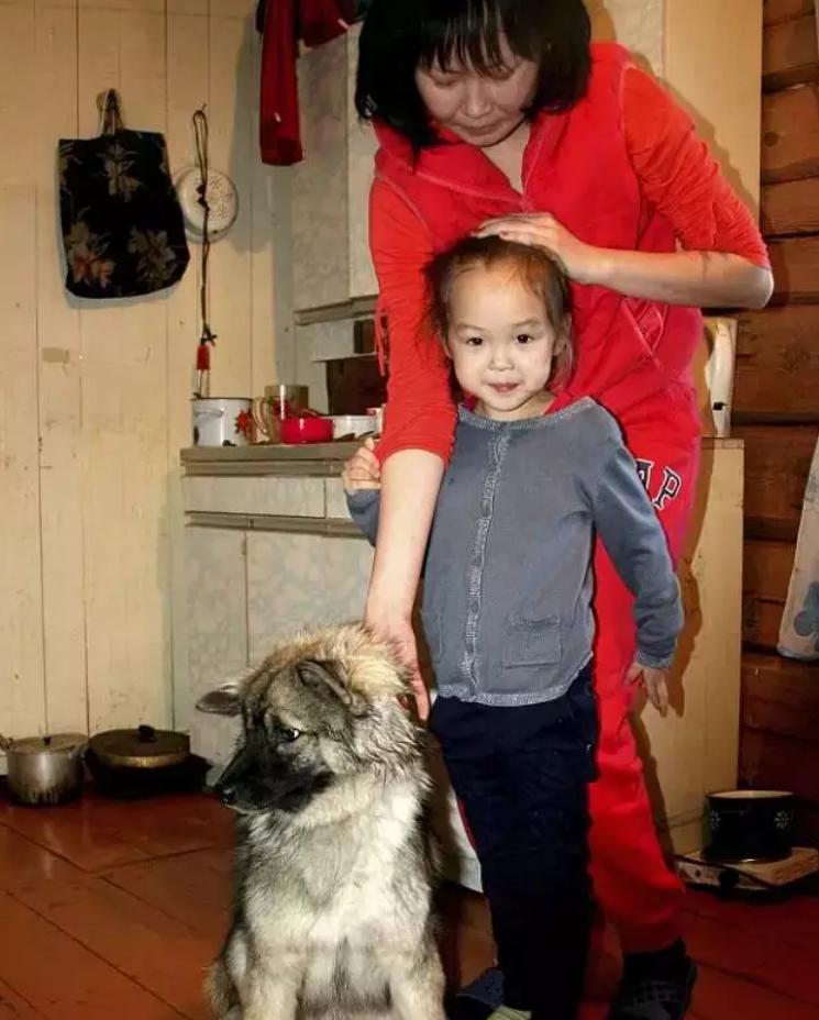 孩子和狗失踪后找回,2岁女孩与狗狗一起失踪后续