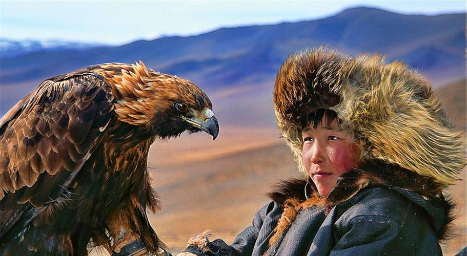 历史上北方游牧民族怎么那么多,游牧民族的文化和习俗的了解