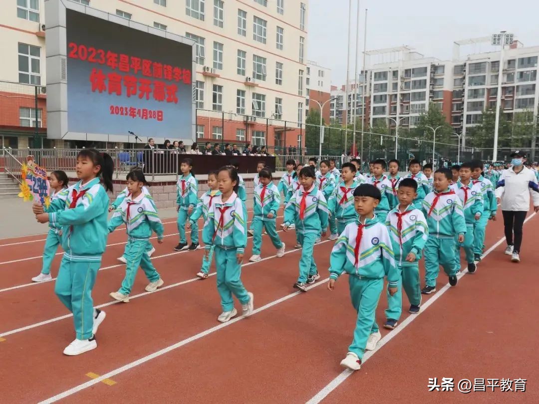 校园竞技体育的魅力,校园青春比赛