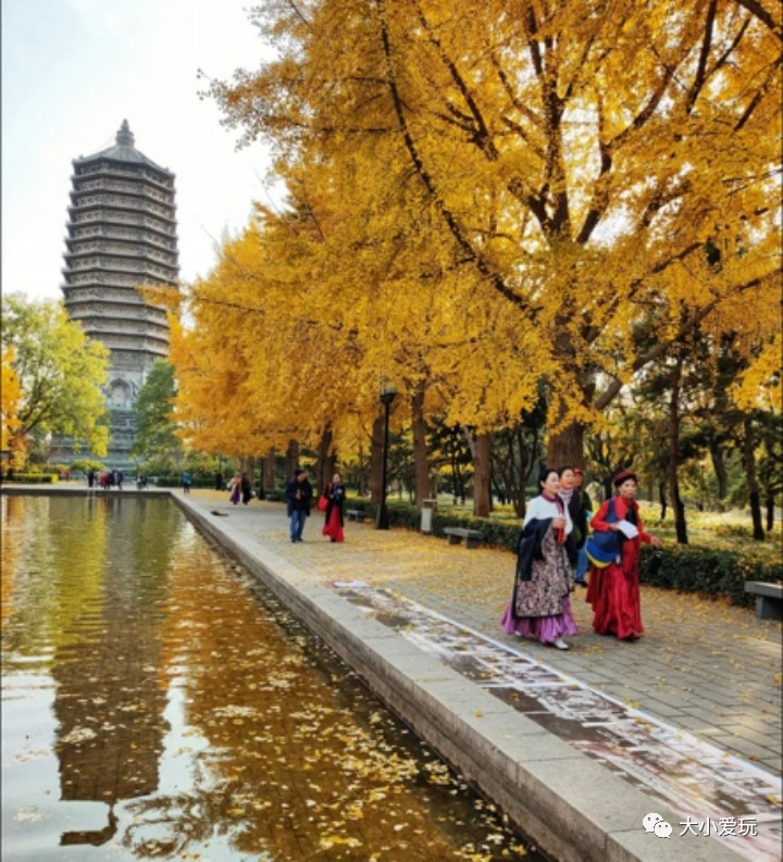 京城赏秋打卡胜地,北京赏秋小众景区