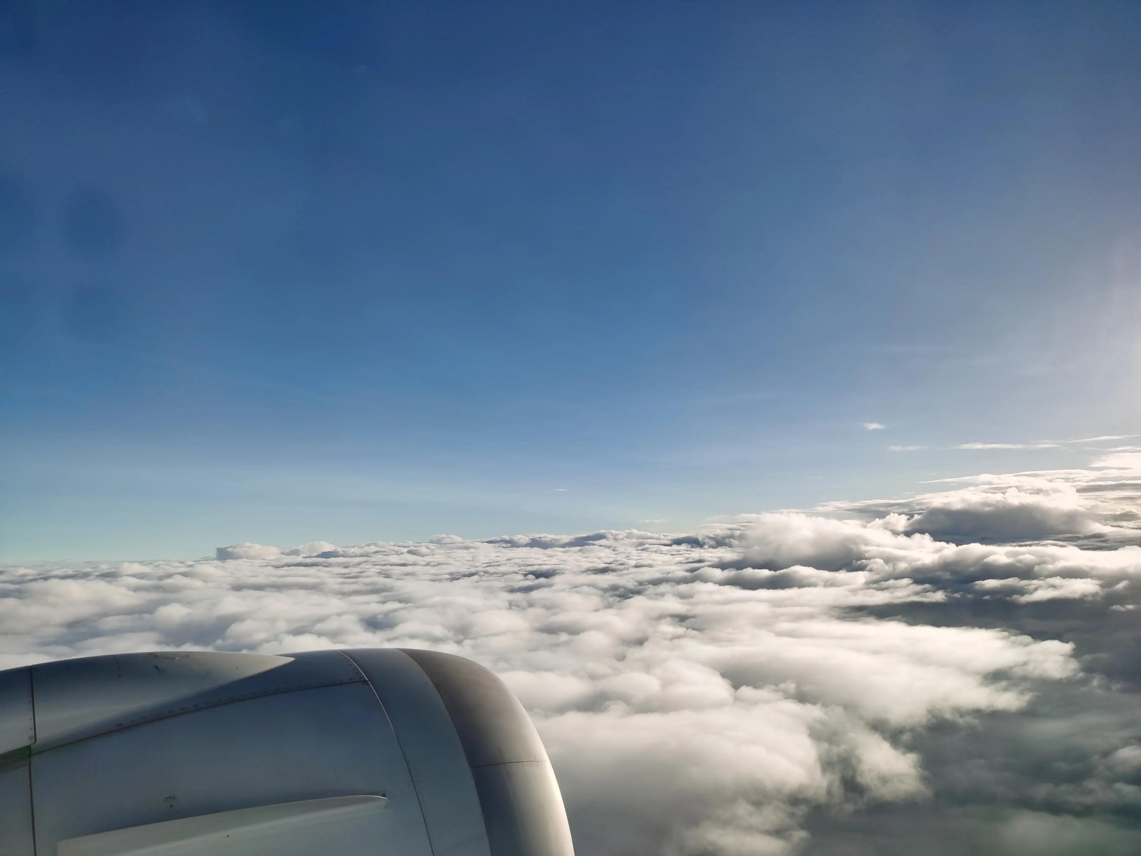 轮椅坐飞机的流程和注意事项,网上购票坐飞机的流程和注意事项