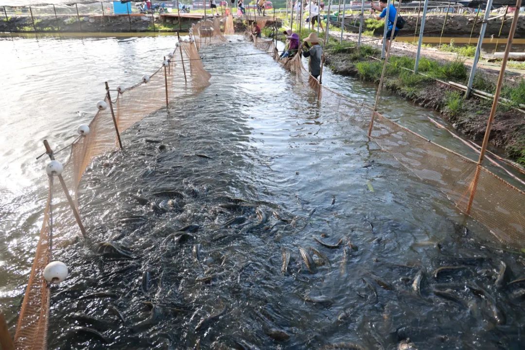 荣海水产养殖公司,广东容海水产养殖科技有限公司