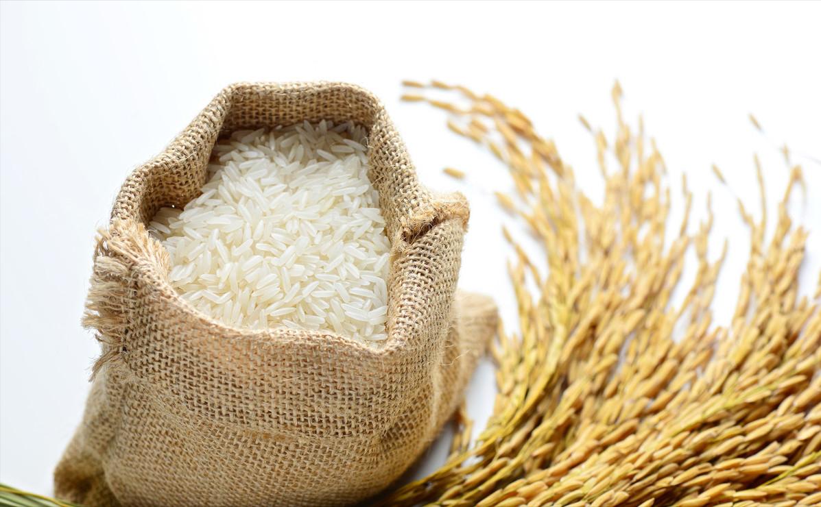 促进水稻氮素吸收利用的途径,促进水稻根系生长的措施