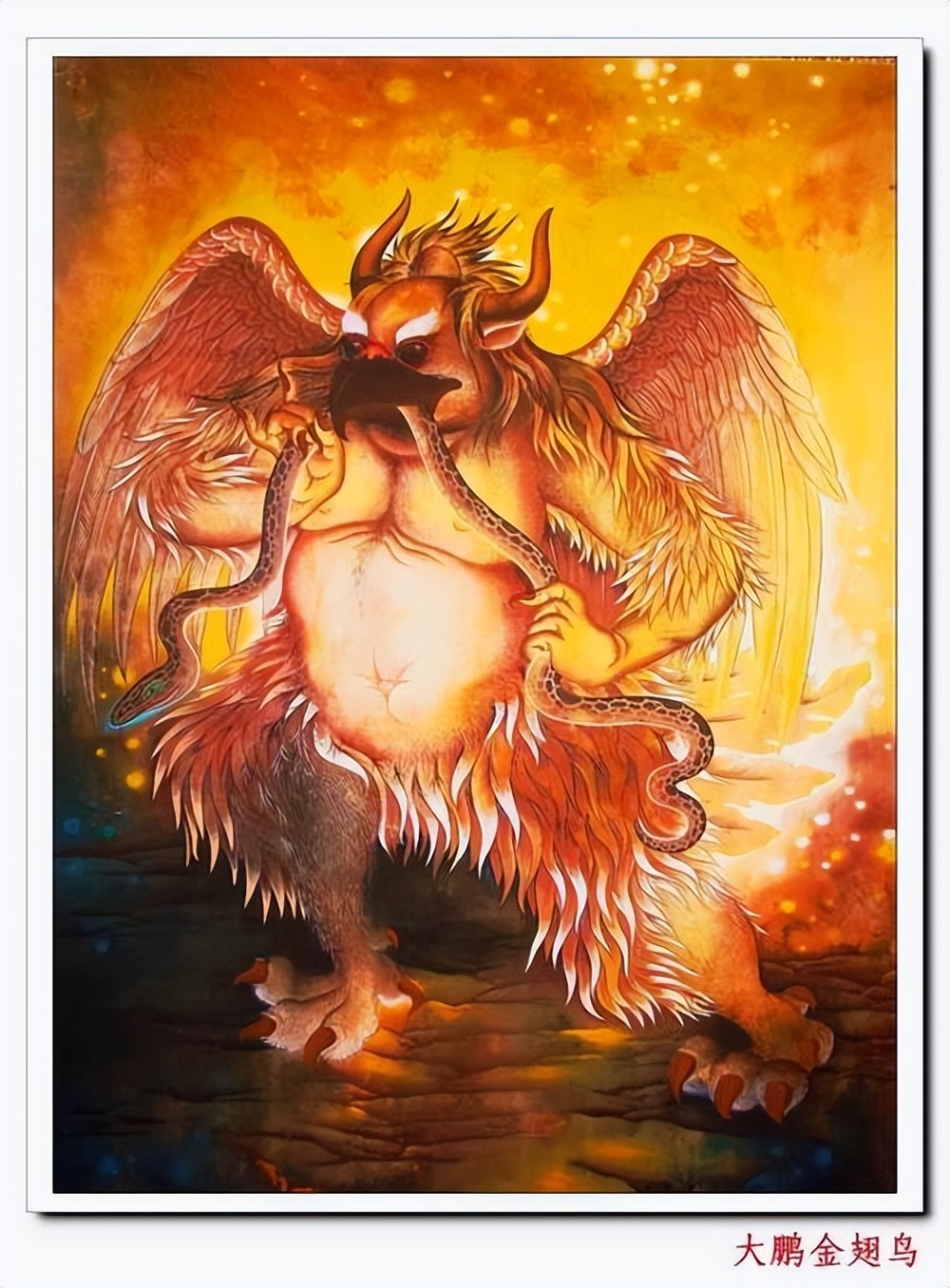 金翅鸟图像分析,金翅鸟视频大全