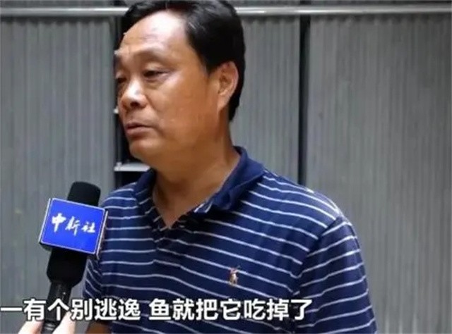 山东济南养殖蟑螂的李延荣,李延荣山东蟑螂处理垃圾第一人