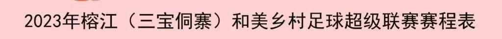 贵州村超在哪里看回放,贵州看村超联赛旅游